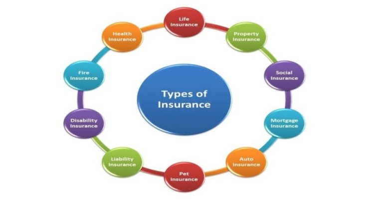 The Importance of Insurance Protecting Your Financial Future