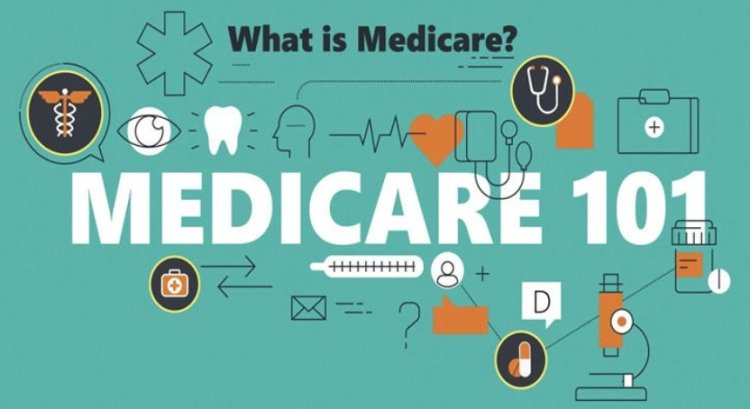 Insurance 101 for Seniors: Protecting Your Golden Years with Confidence